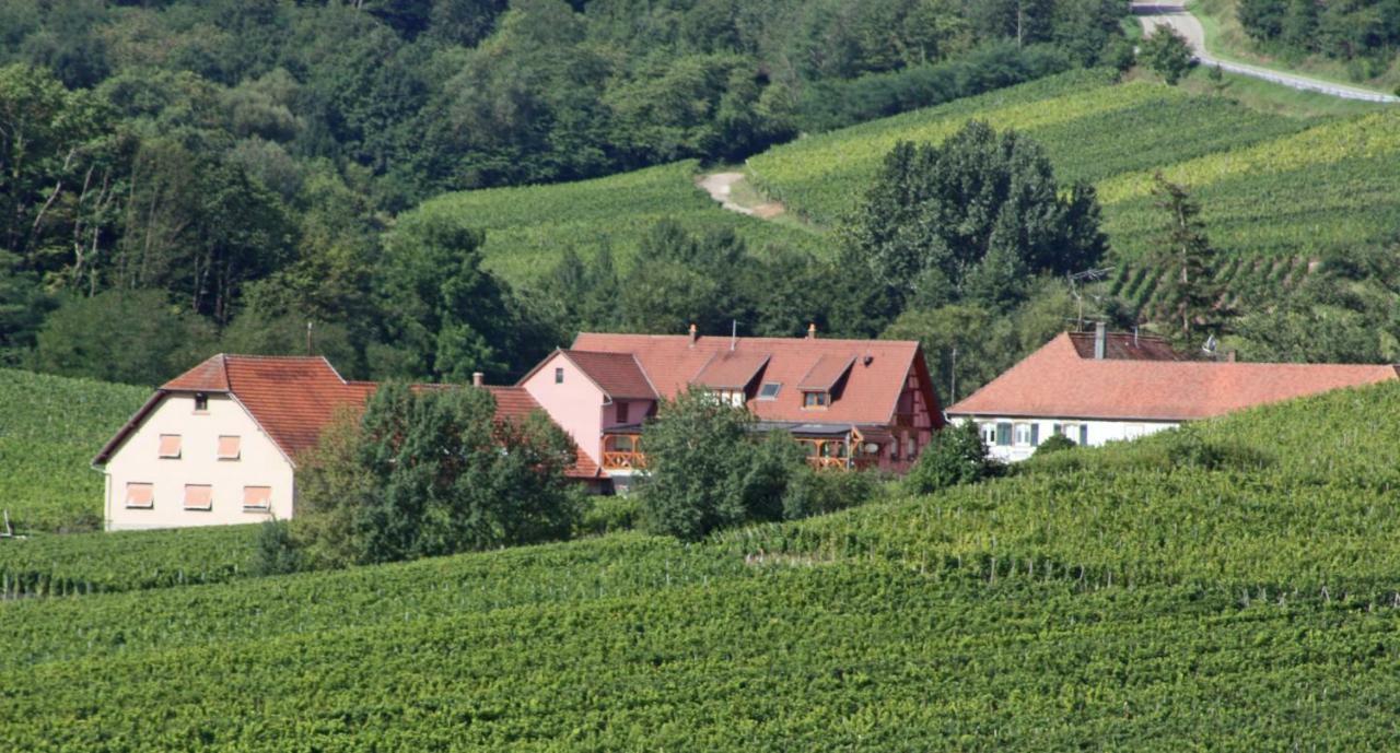 Gite "Au Cerf" Nothalten Exterior photo